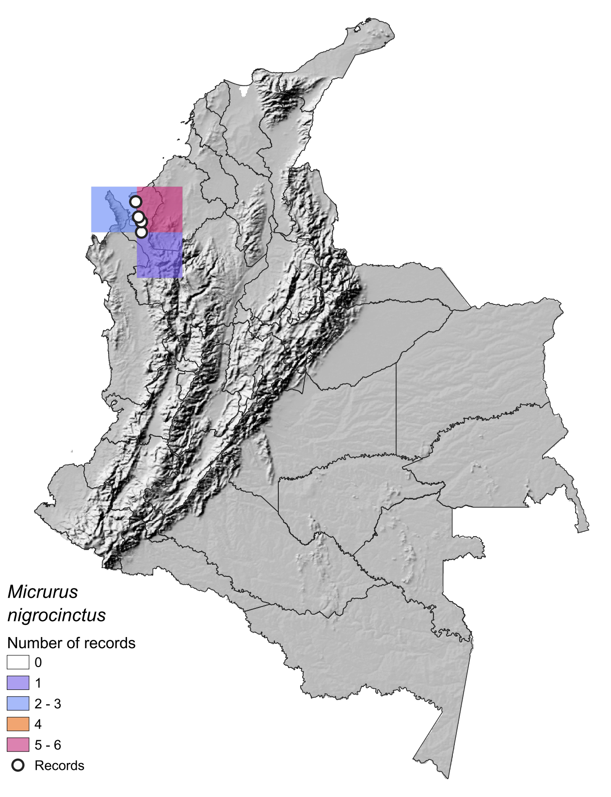 Mnigrocinctus-1map.png