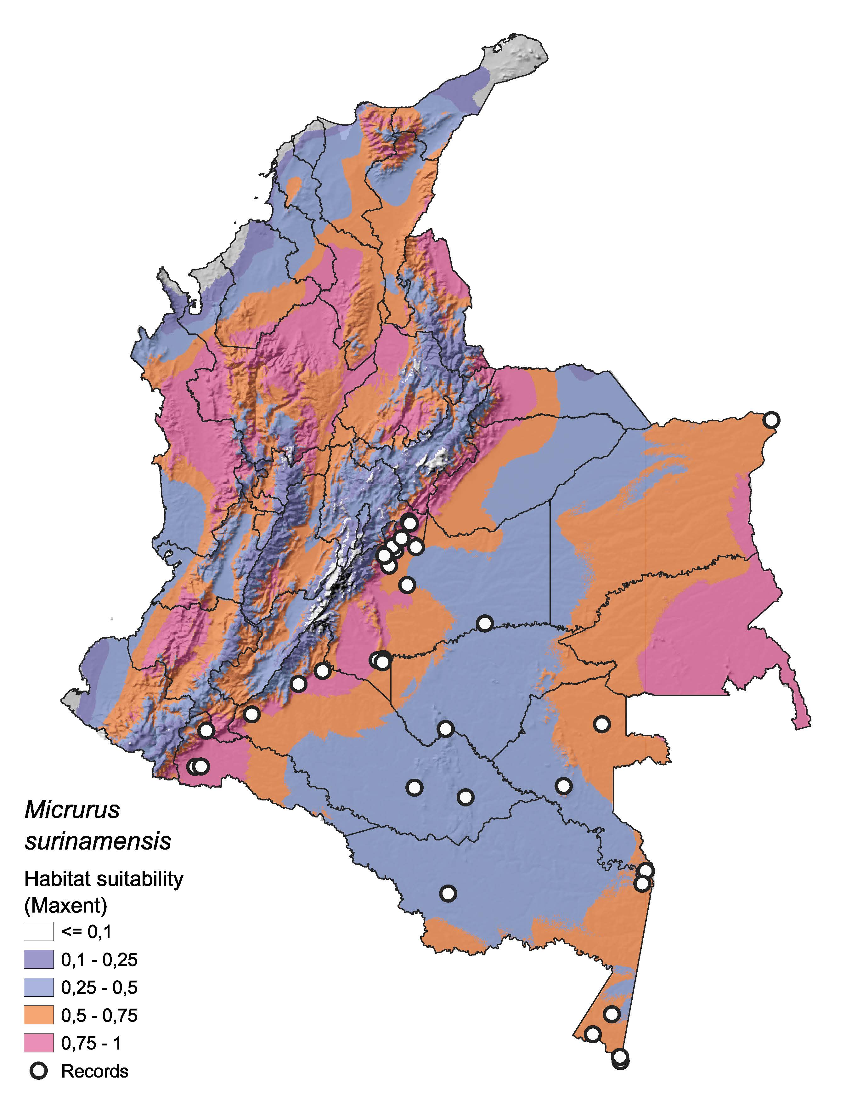 Msurinamensis.jpg